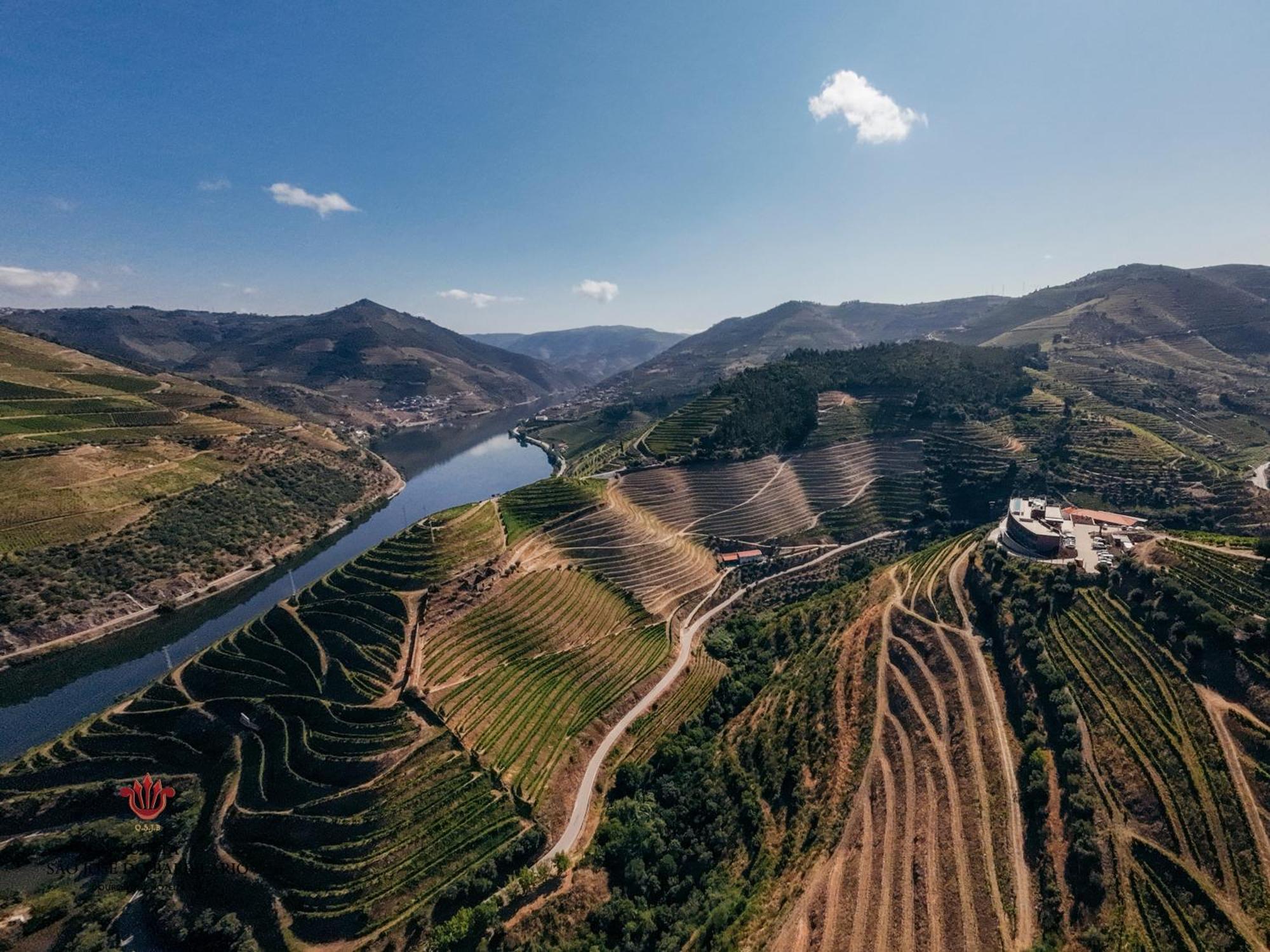 Barrilario Douro Wine Hotel E Spa - Quinta Sao Jose Do Barrilario Armamar Dış mekan fotoğraf