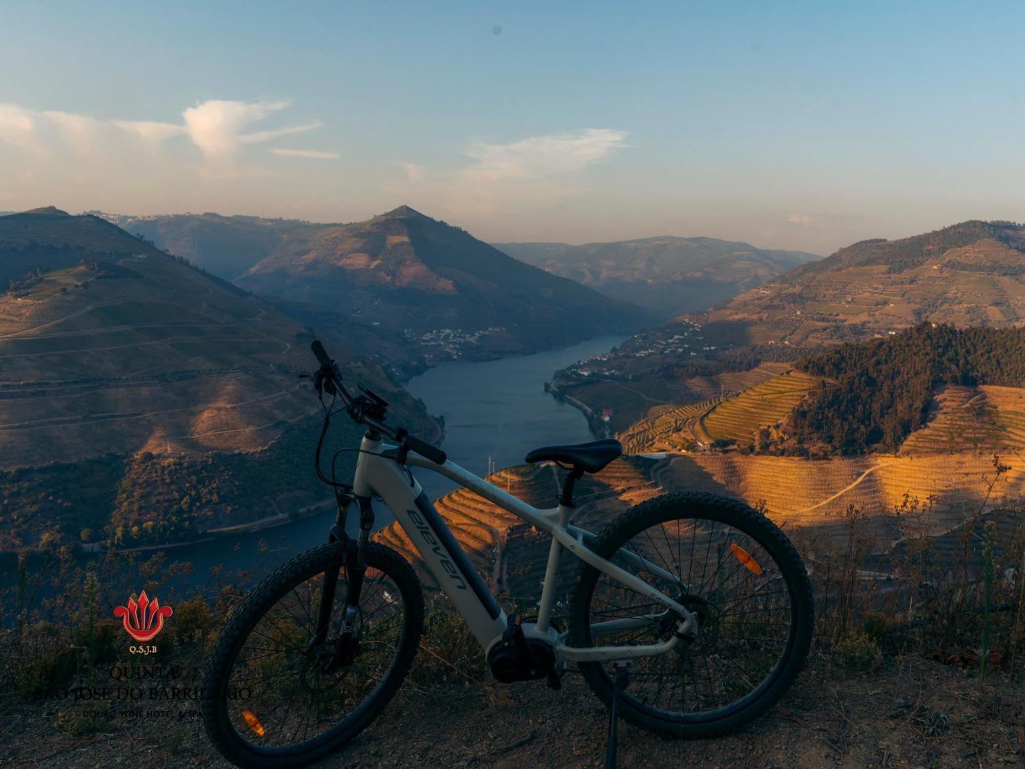 Barrilario Douro Wine Hotel E Spa - Quinta Sao Jose Do Barrilario Armamar Dış mekan fotoğraf