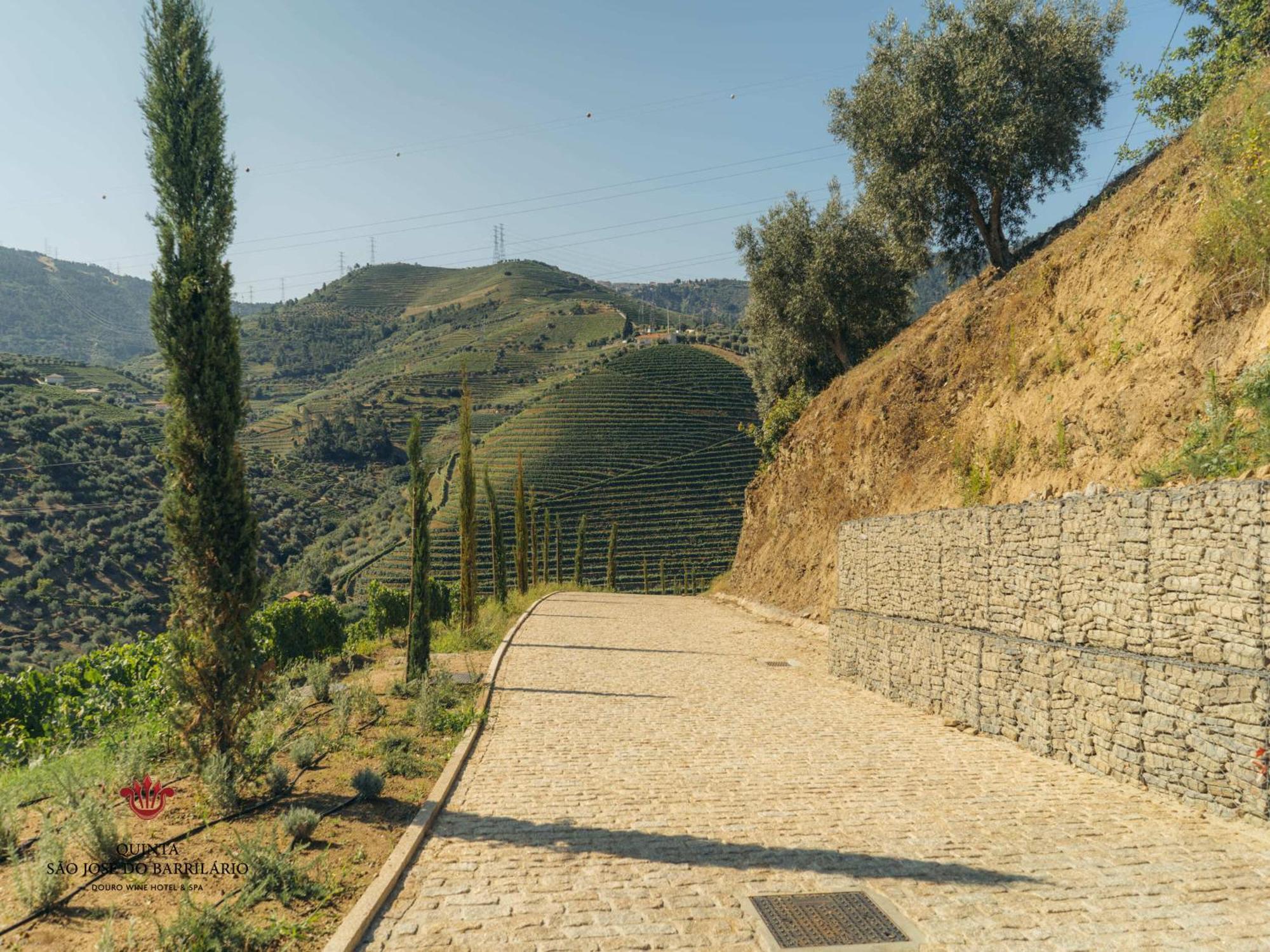 Barrilario Douro Wine Hotel E Spa - Quinta Sao Jose Do Barrilario Armamar Dış mekan fotoğraf
